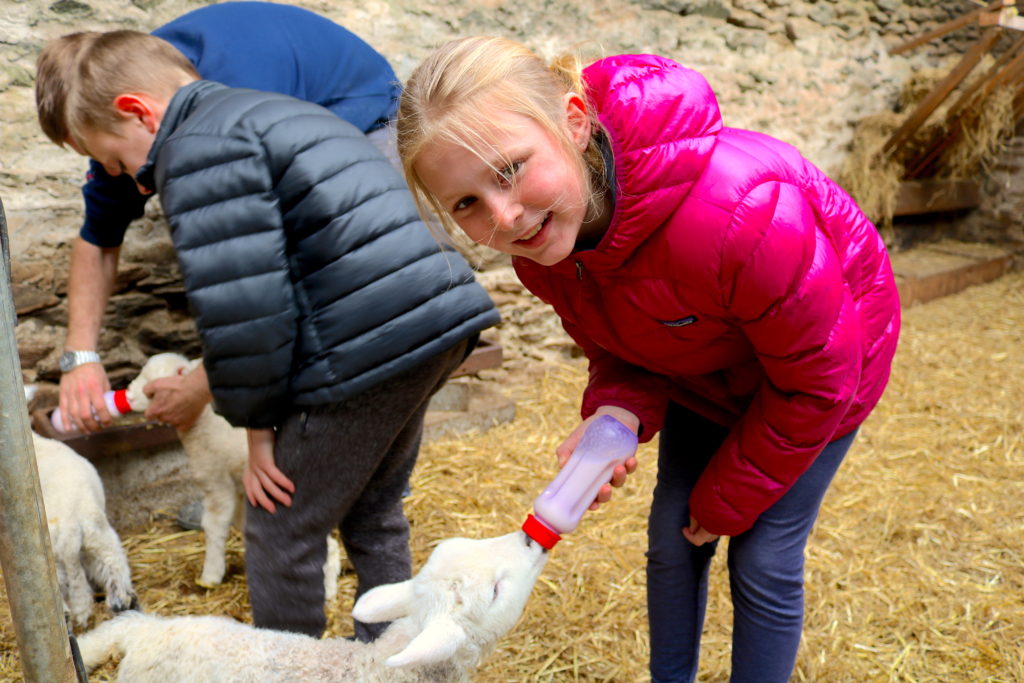 Dingle Peninsula Beehive Hut Lambs Family Travel Riserva's Top Eight Travel Destinations
