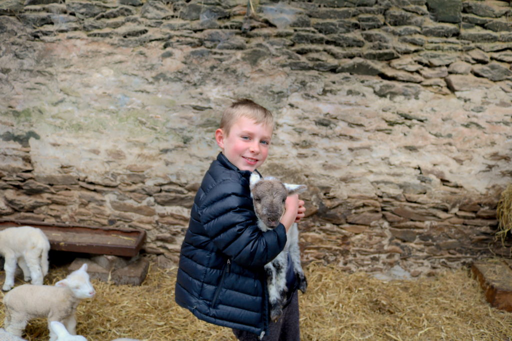 Dingle Peninsula Beehive Hut Lambs Family Travel Riserva's Top Eight Travel Destinations